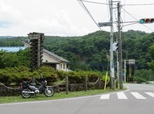 IMG_2349.jpg