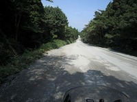 IMG_2381.jpg