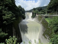IMG_2403.jpg