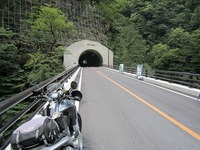IMG_2413.jpg