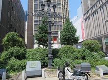 IMG_2434.jpg