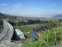 IMG_2459.jpg