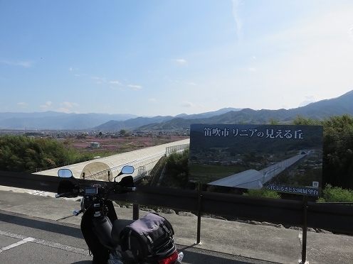 IMG_2461.jpg