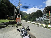 IMG_2461.jpg