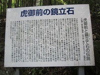 IMG_2462.jpg