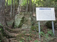 IMG_2463.jpg