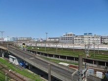 IMG_2477.jpg