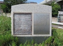 IMG_2478.jpg