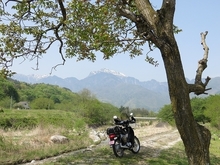 IMG_2568.jpg