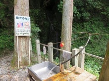 IMG_2577.jpg