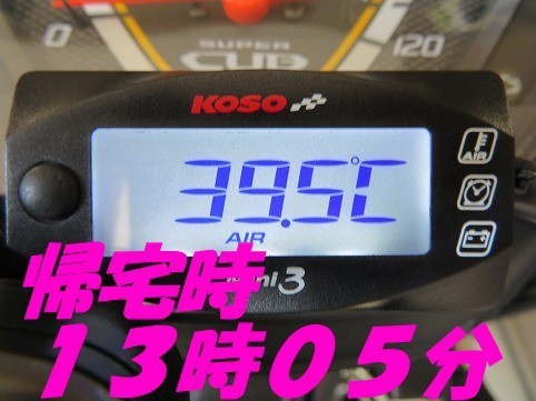 IMG_2619.jpg