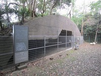 IMG_2622.jpg
