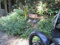 IMG_2647.jpg