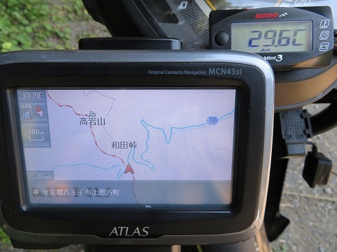 IMG_2667.jpg