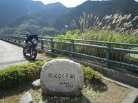 IMG_2695.jpg