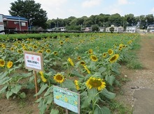 IMG_2704.jpg