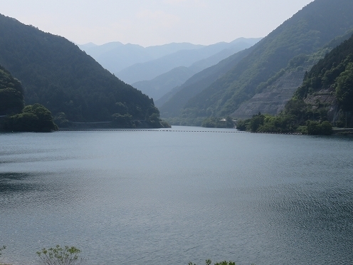 IMG_2709.jpg