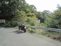 IMG_2739.jpg