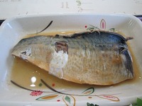 IMG_2764.jpg
