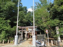 IMG_2772.jpg