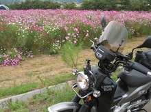 IMG_2847.jpg