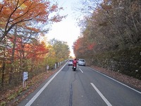 IMG_2867.jpg