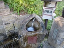 IMG_2880.jpg
