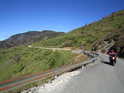 IMG_2887.jpg