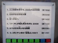 IMG_2935.jpg