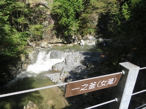 IMG_2974.jpg