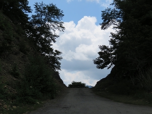 IMG_2977.jpg