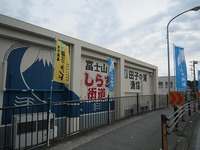 IMG_2998.jpg