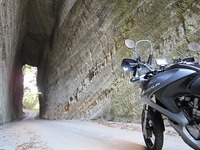 IMG_3076.jpg