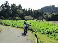 IMG_3083.jpg