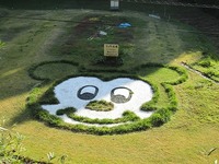 IMG_3112.jpg