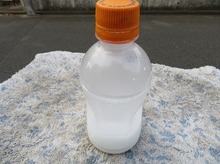 IMG_3115.jpg