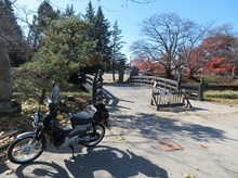 IMG_3155.jpg