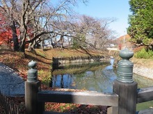 IMG_3160.jpg