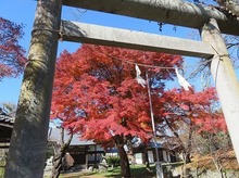 IMG_3161.jpg