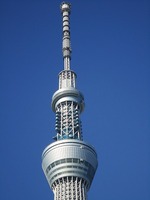 IMG_3250.jpg