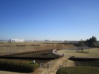 IMG_3261.jpg