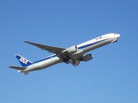 IMG_3265.jpg