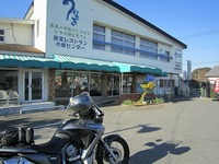 IMG_3279.jpg