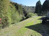 IMG_3317.jpg