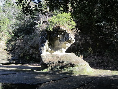 IMG_3320.jpg