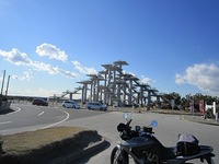 IMG_3337.jpg