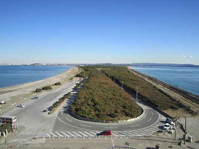 IMG_3338.jpg