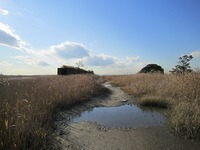IMG_3349.jpg