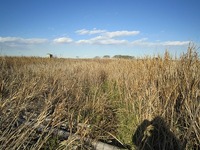 IMG_3359.jpg