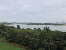 IMG_3366.jpg